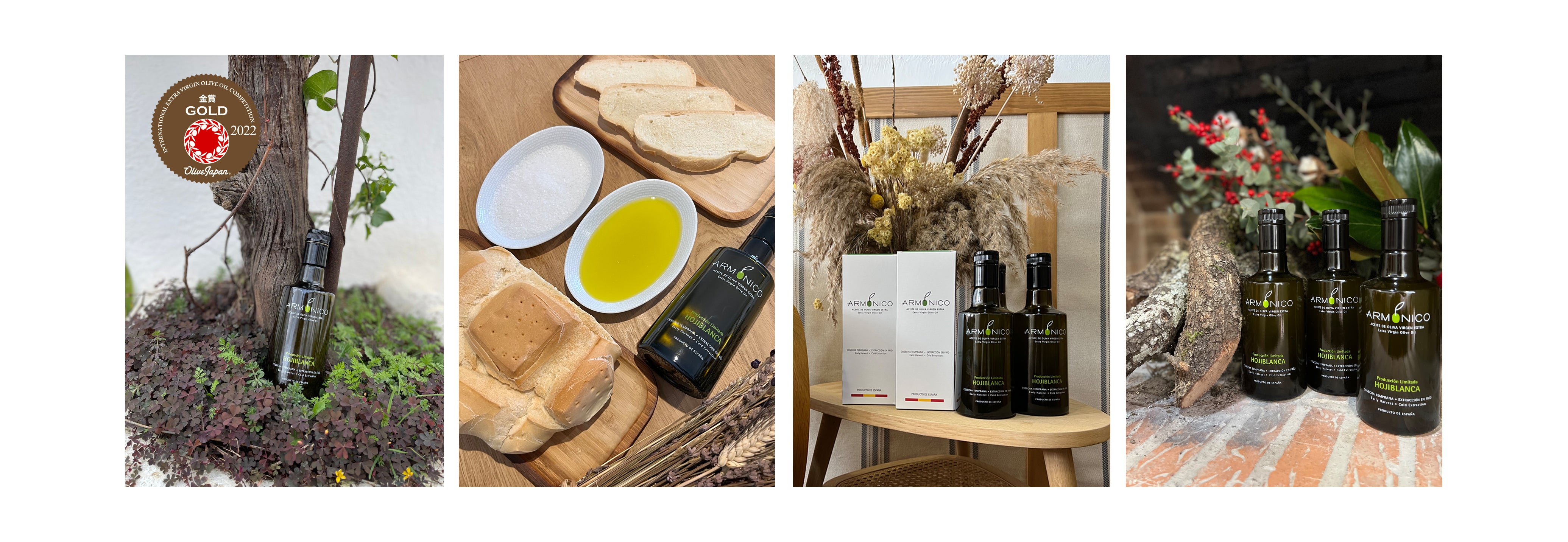 Premios Olive Japan 2022