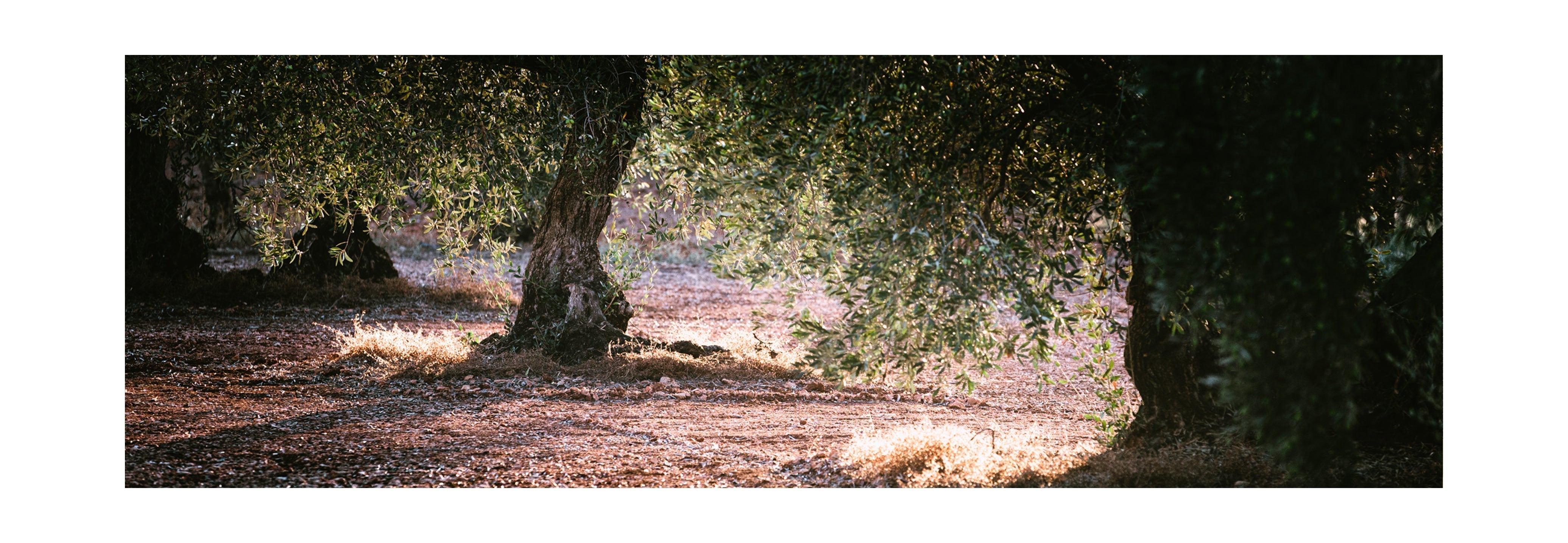 Mitos y verdades sobre en AOVE para niños